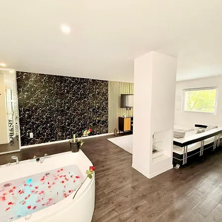 Les Bisous - Jacuzzi & Private Sauna Metz