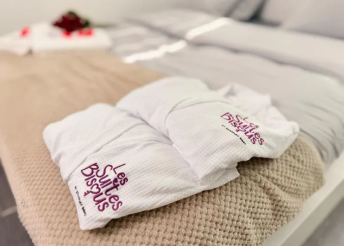 Les Bisous - Jacuzzi&private Sauna Metz